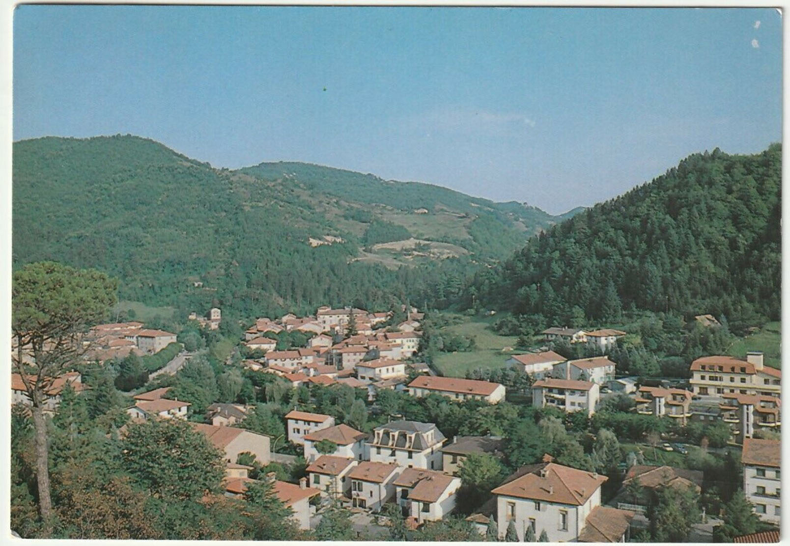 PALAZZUOLO SUL SENIO - FIRENZE - PANORAMA - VIAGG. -37445-