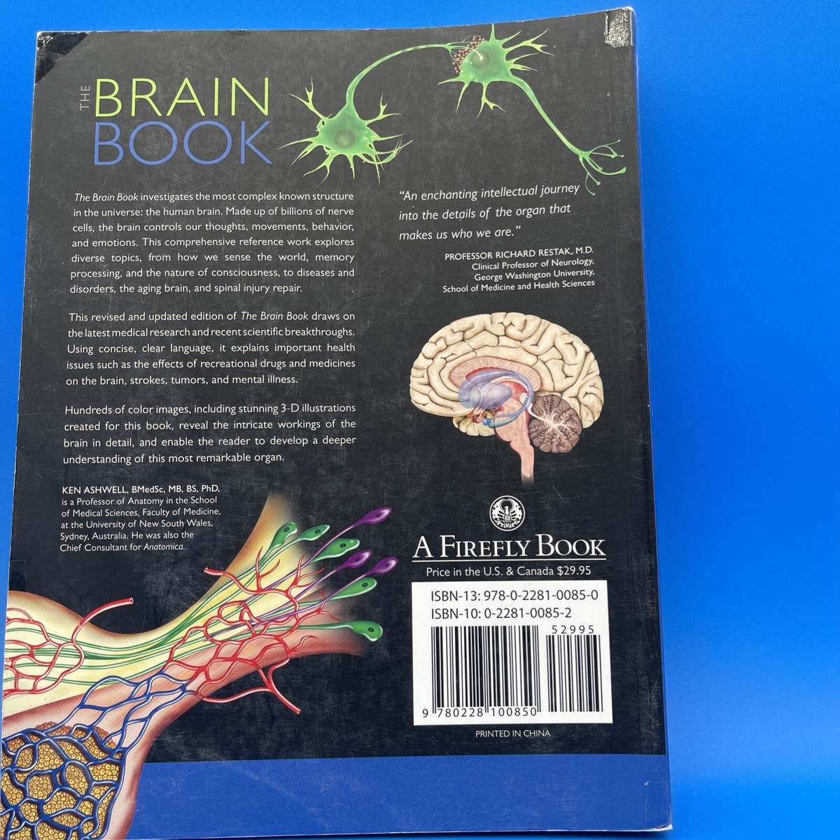 Dr.Brain 幼児教室ひまわり　基本編テキストDVD3本セット Dr.Brain 幼児教室ひまわり基本編DVD3本セット