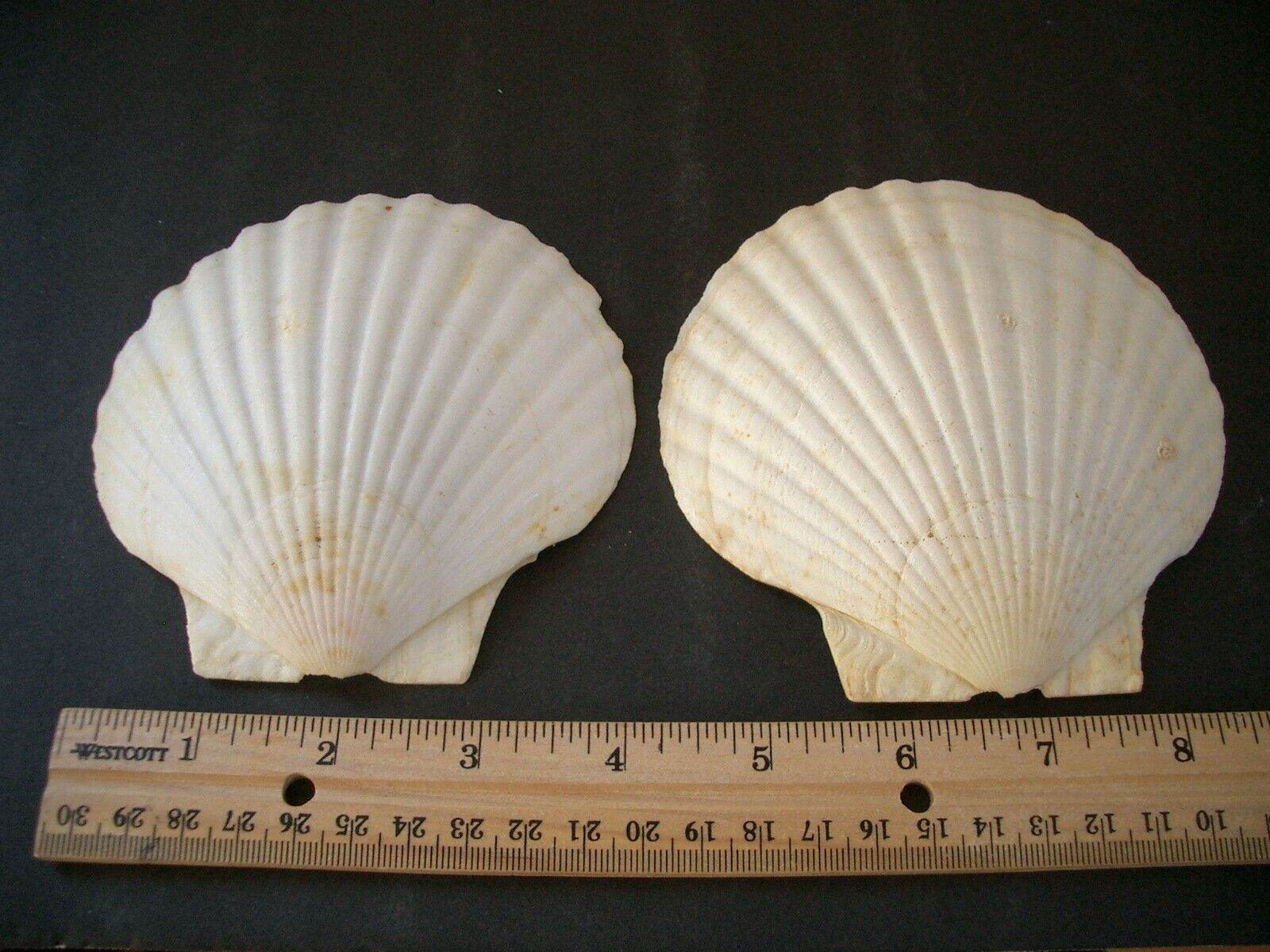Photo 2/5