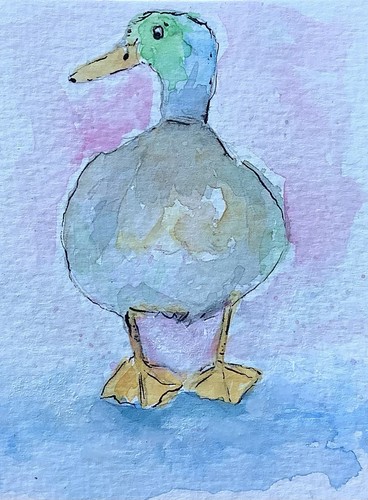 Aceo By Kenna Mallard Duck Original HP Watercolour Painting 2.5” X 3.5” Signed - Picture 2 of 4