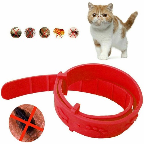 Up To 10Pcs Flea Collars Pet Cat Kitten Cats Adjustable Anti Tick Pest Control - Picture 8 of 12