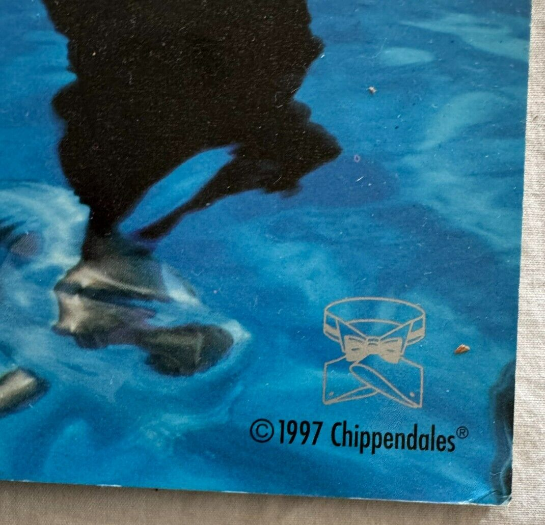 Vintage Chippendales 1998 Calendar 20th Anniversary 1978