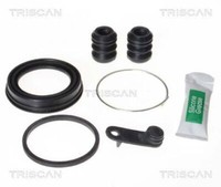 Triscan 8170 204836 Reparatursatz, Bremssattel FüR CitroËN Dacia Lada Peugeot