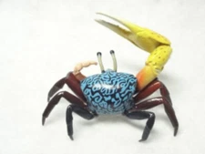 Kaiyodo Museum Q Japan Exclusive Fiddler Crab Mini Figure