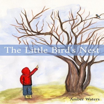 The Little Bird's Nest Amber Waters Hardcover Amber Waters