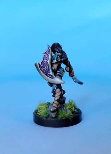 Reaper Dorva Female Elf 03004 Female Fighter paladin D&D pro painted - Picture 4 of 4
