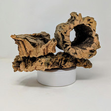 Virgin Cork Bark - for Orchids, Airplants, Reptiles, and Terrariums 8 Ounces ,