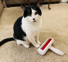 Affordable Pet Hair Remover