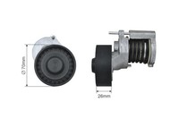 NTY Riemenspanner Keilrippenriemen FÜR Audi A2 00-05 Seat Altea 06- Arosa 9