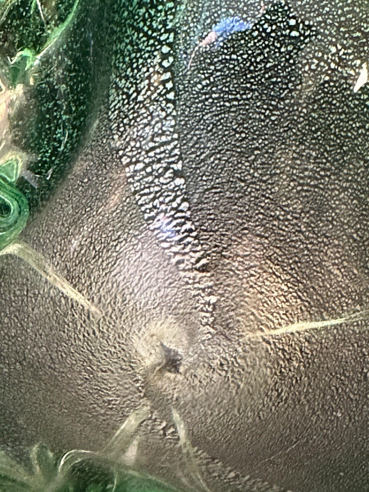 Picture 12 of 24