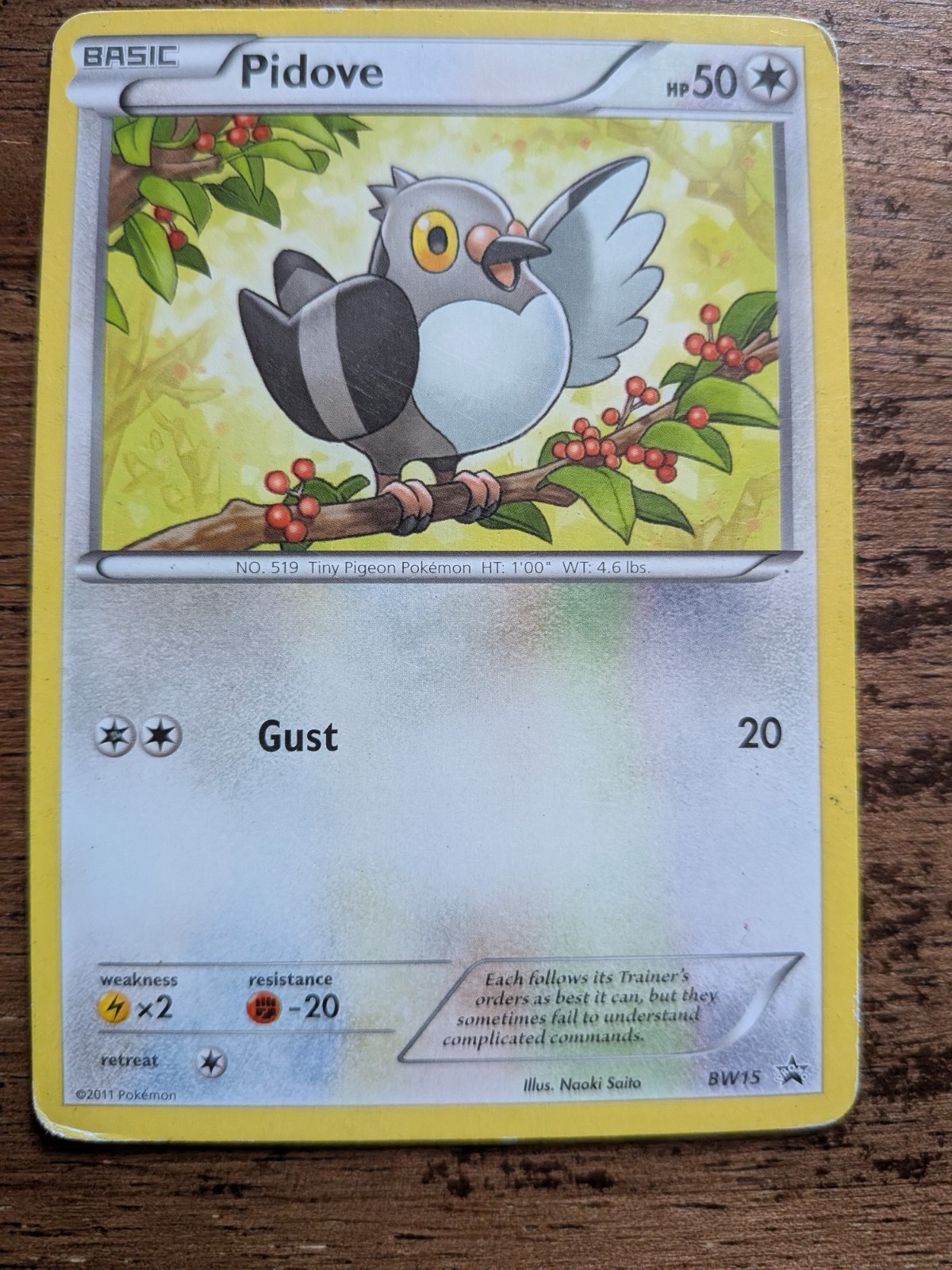 Pidove 2011 Pokemon Non Holo BLACK STAR PROMO Set Blister Pack Card BW15 