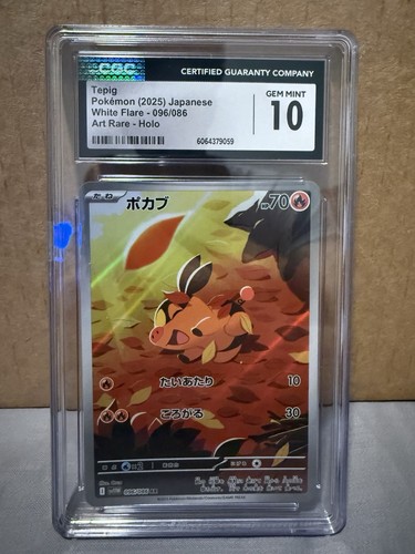 Tepig graded CGC 10 for sale on eBay