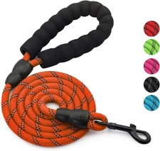 5-ft Nylon Dog Leash with Padded Handle for Walks, Fits Medium to Large Dogs