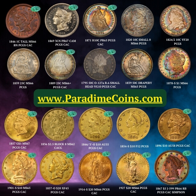 Paradime Coins