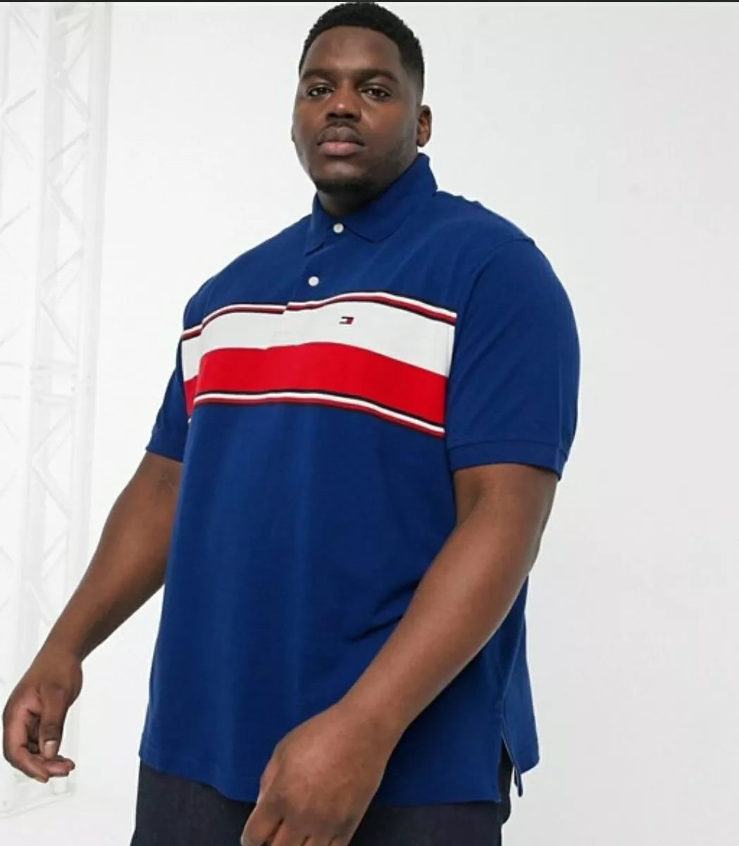 Tommy hilfiger big sale and tall polo