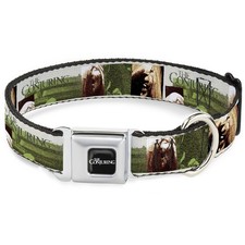 Warner Bros. Horror Movies Pet Collar, Dog Collar Metal Seatbelt Buc (US IMPORT)