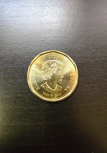 Photo of a 2023 Canada Loonie from an eBay listing that sold on Jul 13, 2026