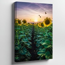 Vibrant Sunflower Field Stretches Across The Foreground, With Tall Wall Art