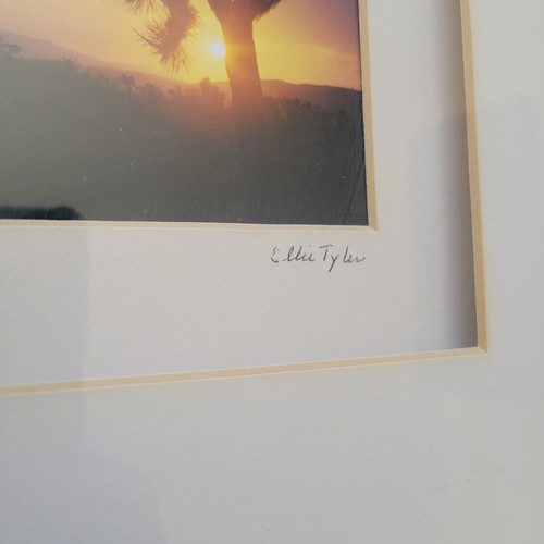 Vintage Joshua Tree Photo by Ellie Tyler Signed Framed Hign Desert 3x5in - Picture 3 of 6