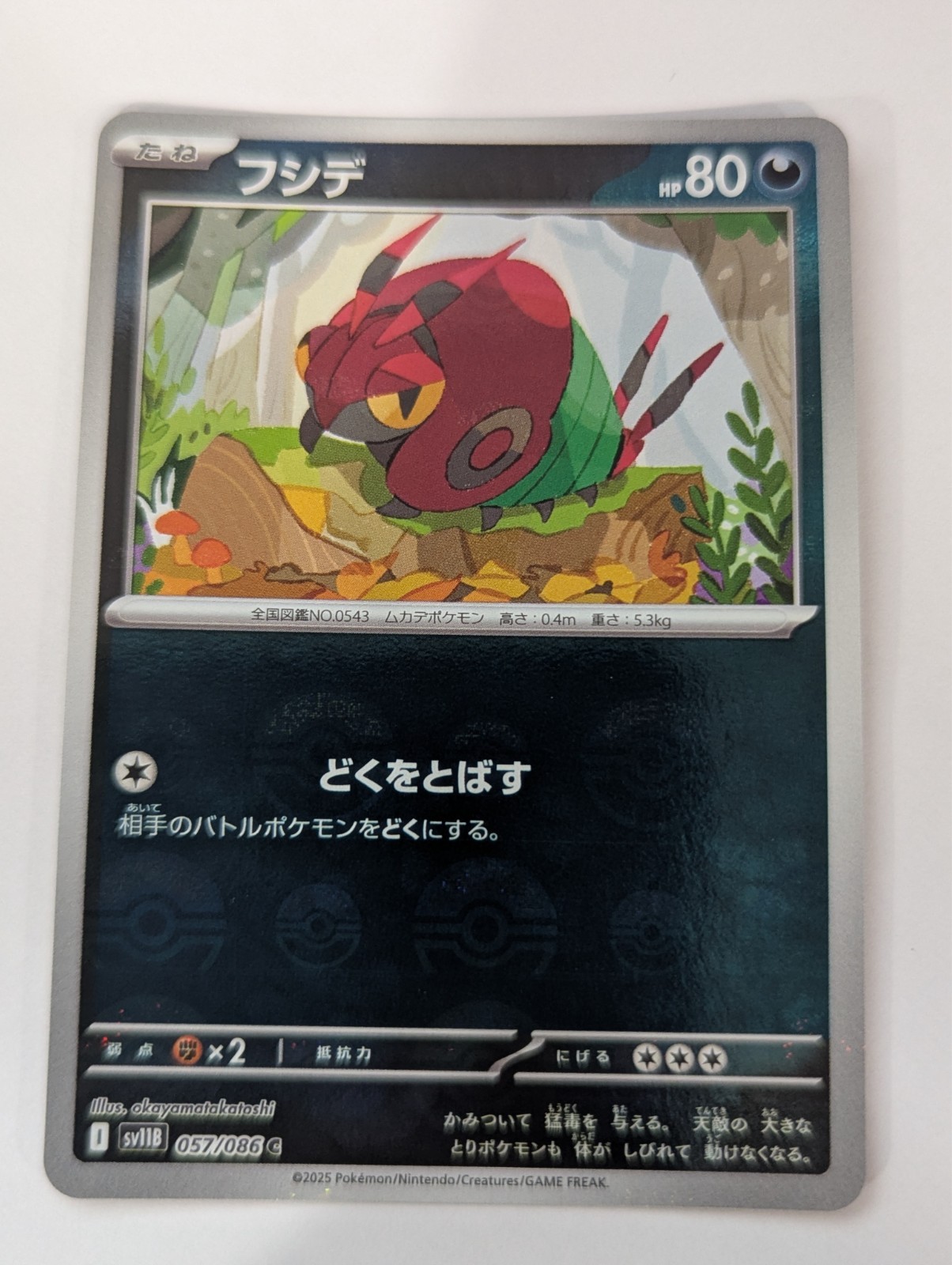 Venipede (Poke Ball Pattern) 57/86 SV11B: Black Bolt Pokemon Japanese Holo NM