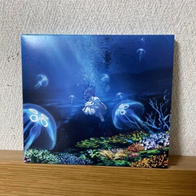 Aimer Hana no Uta 1st Limited Edition Fate/stay night Heaven's Feel CD Japan