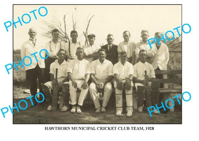 LARGE PHOTO OF OLD HAWTHORN CRICKET CLUB TEAM 1928 VIC