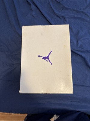 Jordan 4 Retro Metallic Purple
