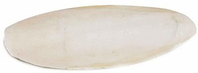 Prevue Pet Products 6 inch Bulk Cuttlebone - 25 per Box with Holder, Large