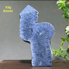 Rare Blue Agatized Coral Fossil - Beautiful Collectors Peice 
