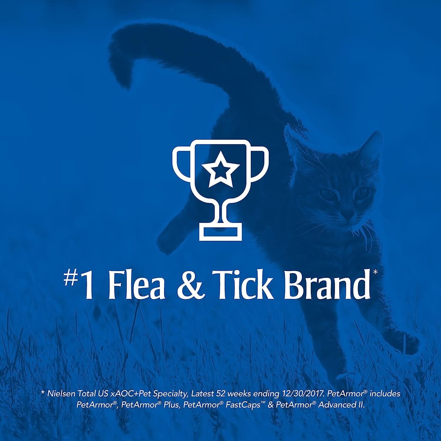 PetArmor Cat Flea And Tick Lice Treatment Control Medicine For Cats and