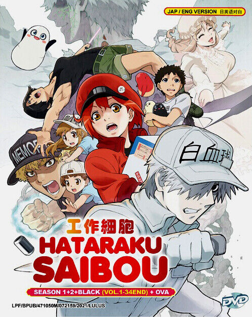 Hataraku Saibou（Cells at Work!）Sea 1+2 + Black (Vol.1-34) +OVA -*English  Dubbed*