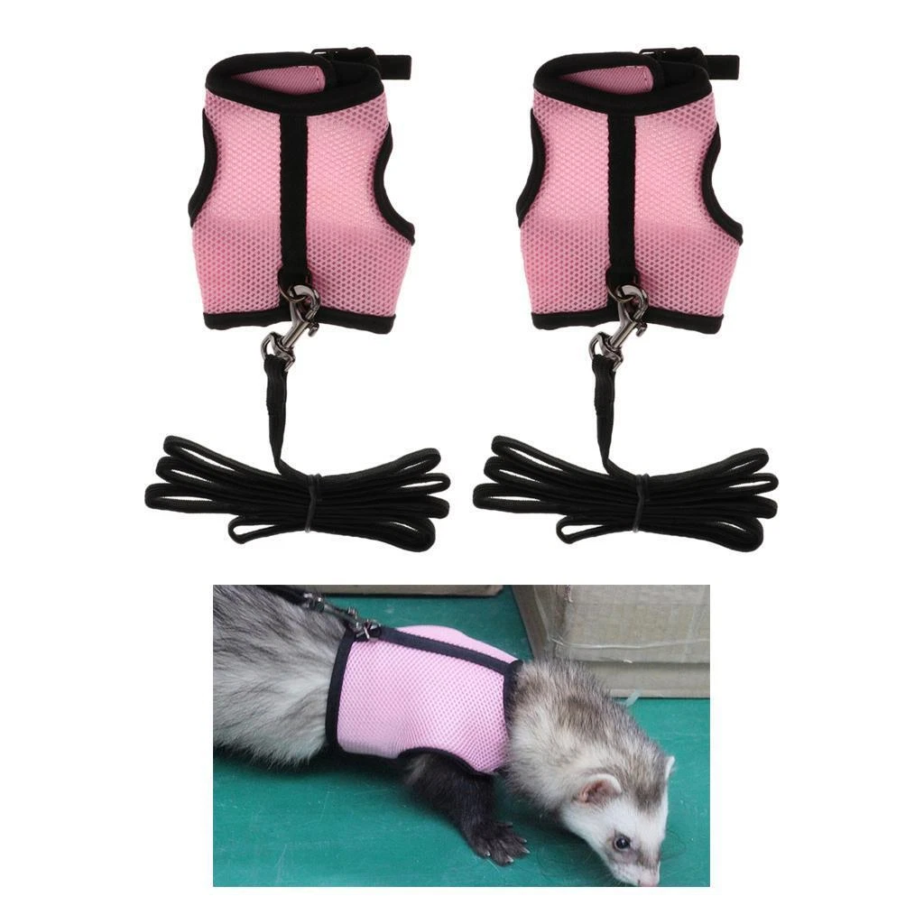 Ferret leashes cheap and harnesses
