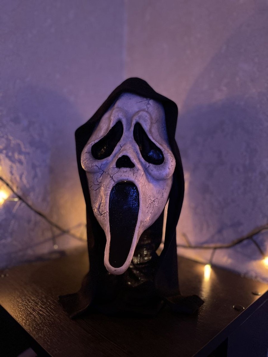 Halloween Death Ghost Mask Scary Smiley Wassup Scream Stoned Ghost Face  Adult