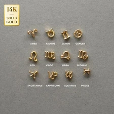14K REAL Solid Gold Little Zodiac Sign Ear Piercing Daith Helix Tragus Conch 18G