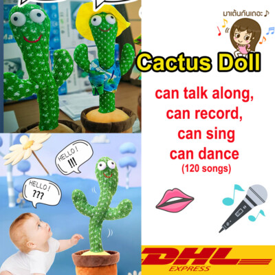 Cactus Dancing doll, can talk along, can record, can sing Very cute, Very fun