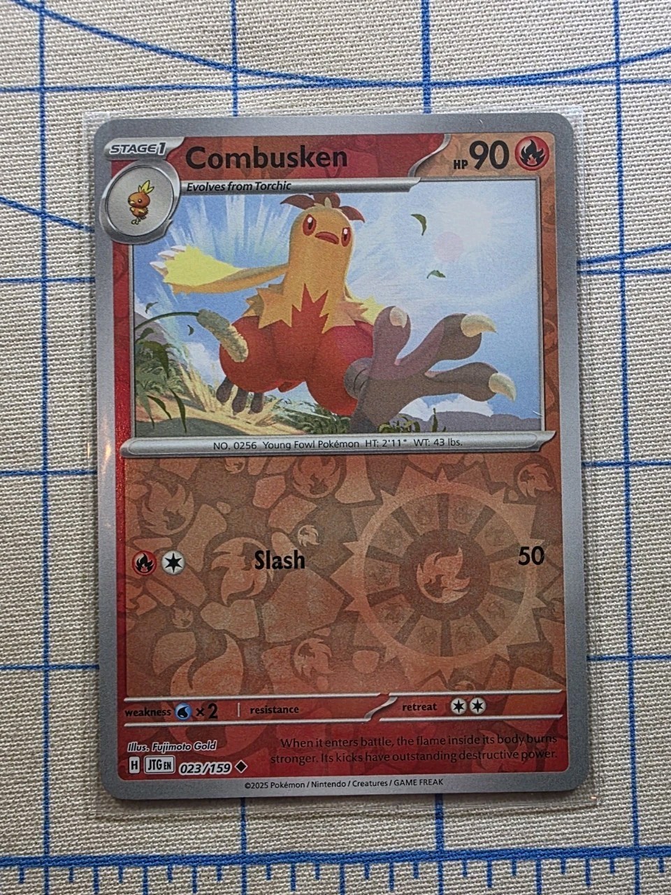 Combusken 023/159 - Journey Together Reverse Holo Pokemon Card