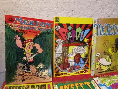 Lot of 6 Vintage Underground Comic Books Mr Natural Bijou San