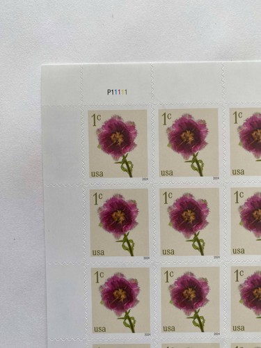100 of 1-cent USA stamps Fringed Tulip ( 5 sheets ) USPS additional US Posta NEW - Picture 3 of 5