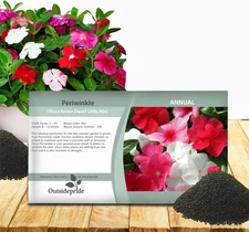 Mix Periwinkle Seeds for Planting – 4000 Pcs Annual, Fast-Blooming, Heat & Droug