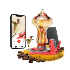 TT Nature Glass Smart Hummingbird Feeder with Camera Solar Powered 2K- AI Ide...