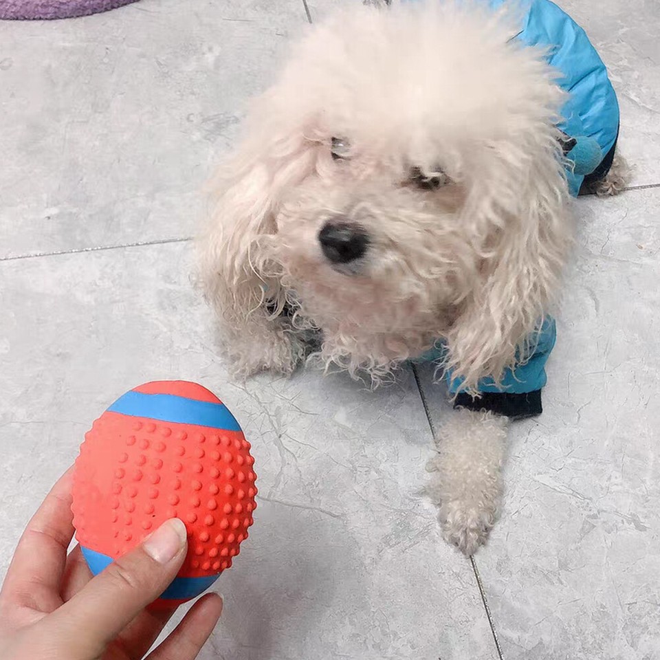 Small Ball Dog Puzzle Toy Soft Squeaky Dog Chew Toy High Elasticity Pet