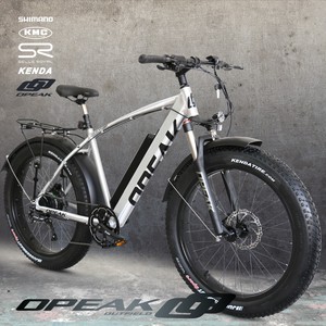 electric bike 28 mph