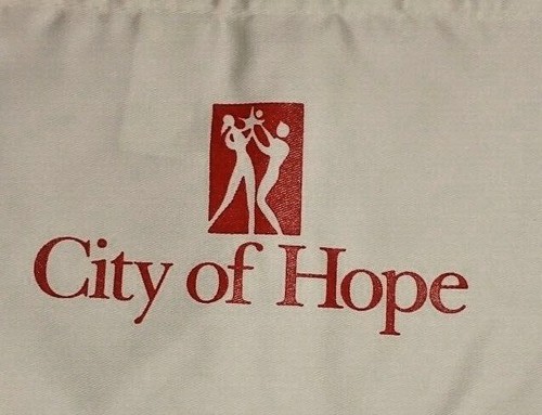 VINTAGE Full and Half Size Apron---Choose your Logo - Picture 3 of 17