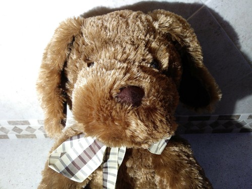 Adorable Plush Puppy Dog - Picture 2 of 5