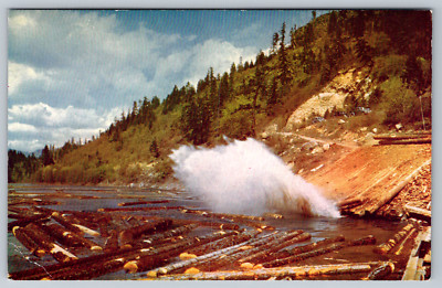 California Logging Operation Berkeley Kodachrome Postcard