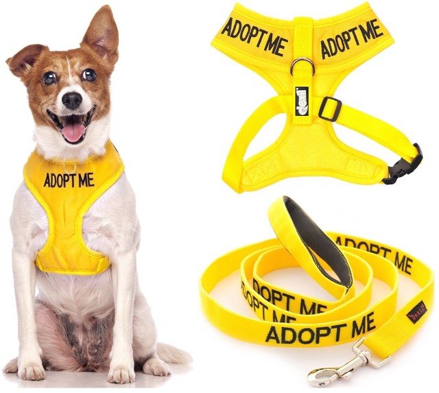 Non Pull Front Back Ring ADOPT ME Vest Dog Harness 4 6 Foot Leash Sets