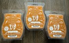 SCENTSY ~ PUMPKIN STICKY BUN Wax Bars ~ Lot Of 3 NIP