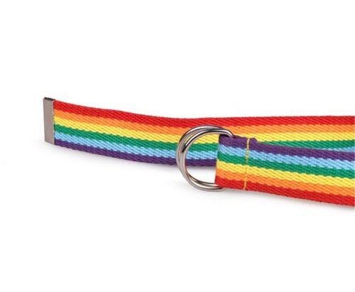 Women Lady Rainbow Stripe Colorful Casual D-ring Canvas Pants Long Belt 133cm - Picture 3 of 12