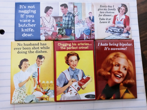 7 Anne Taintor type Humor Magnets Hilarious Housewife Mommy NEW Retro - Bild 2 von 5