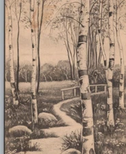 Aspen Woods Forrest Vintage Postcard